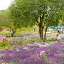 팔마종합운동장 팔마주경기장 이미지