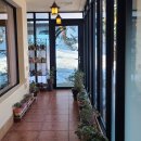 스완흑염소 이미지