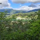 서화터미널 이미지