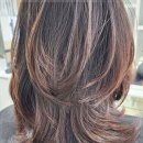 엘룩스헤어 이미지