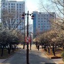 해반공원 이미지