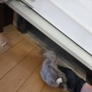 용곡한라@ | 용곡한라비발디 34평 이사청소 후기