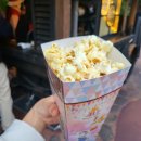 [🇯🇵도쿄여행] #6 꿈꿔왔던 도쿄 디즈니랜드 여행기🎡🎠🎈✨️