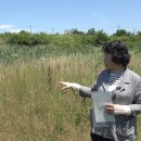 석문면사무소 이미지