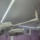 (주)엘럽스 이미지