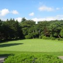 러프(Rough) 이미지