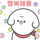 로즈펫살롱 이미지