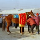 포경선 - 양산시 | 포경선