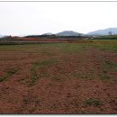 신흥농장 이미지