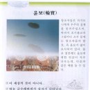 윤보