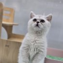 펫엔글라이더본점 이미지