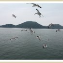 명수선실 - 연수구 청능대로23번길 11 | 명수선실