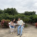 남가원 네이버블로그