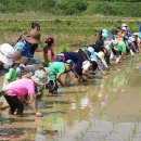 광주동초등학교충효분교 이미지