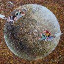 달빛연가 이미지