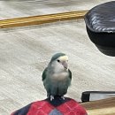 익산회생선가 이미지