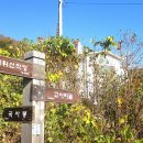 펜션델리앙 이미지