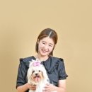 쑝이네 애견샵 이미지