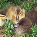 규환농장 이미지