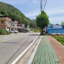 마천농협하나로마트 | 함양군 마천면 마을 구경, 고사리와 농협하나로마트 빵집(2025. 5. 13. 화)
