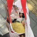 메종카누네 | 카누를 타고 파라다이스에 갈 때