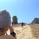 꽃지 해수욕장-할미바위, 할배바위 ♡❤️♡ 이미지