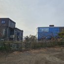 미음나루음식문화특화거리 | 남양주 미음나루 카페, 한강뷰에 동물농장까지 - 카페 어나더쥬얼리
