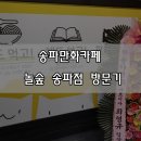 놀숲 송파점