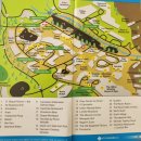 카우스팜 | [휘슬러] 휘슬러 빌리지 Whistler Village 시내구경 2010 밴쿠버 동계올림픽 개최지