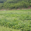 비량농원 이미지