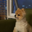 제이씨트레이딩
