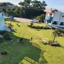 조아모루민박 이미지