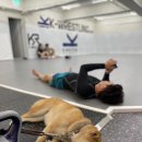 케이 레슬링 인천 구월점 이미지
