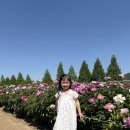 애기등 공원 | 🌸 합천 핫들생태공원｜경남 합천 반값여행 작약 개화시기, 주차 후기