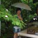 와수초등학교 이미지