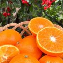 유라농장 이미지