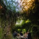 디자인포커스 - 영등포구 도림로 233 | 디자인포커스