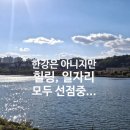 광교시너지레이크