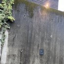 원목욕탕 | 벳푸료칸 개인탕 온천숙소 가족여행 가격 세키야 리조트 테라스 미도우바루