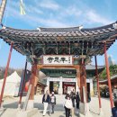 매화도서관 | 지금 절정🌸 서울 홍매화 명소 강남 봉은사 매화 실시간 후기 + 별마당 도서관 코스