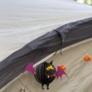 광주시민의숲 야영장 이미지