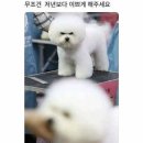 못난이호떡 이미지