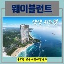 호텔 웨이블런트 양양 이미지