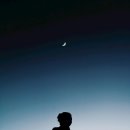 안일공인중개사사무소 이미지