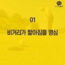 톡스크린골프 이미지