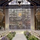 행복가든 | 청주 에스가든 웨딩홀 당일계약 후기(예랑,예신 후기)