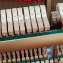 호계1차현대홈타운 이미지