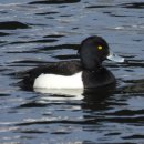 낙동강변14 이미지