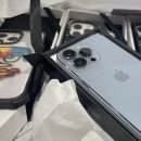 개이쁘다 이미지