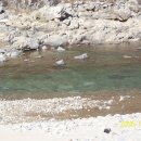 내린천의 봄 이미지